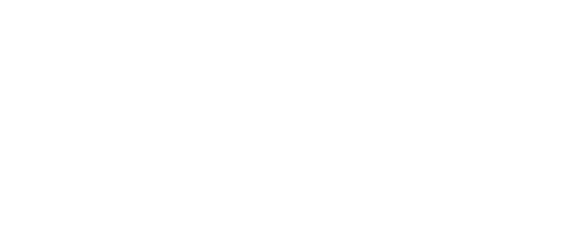 leads-champs-logo-light