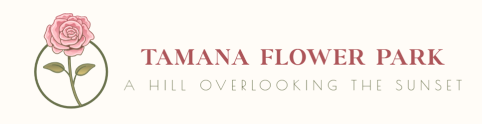 Screenshot 2025-10-11 205649